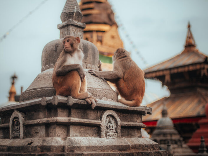 Kathmandu - Nepal